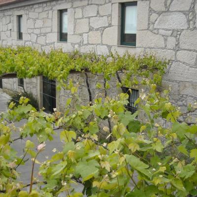 Quinta do Castelo by Quintas&Catering