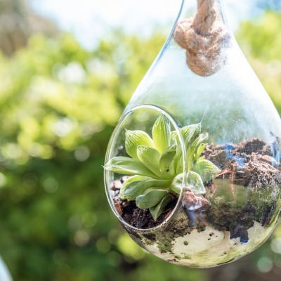 Batizado Gabriel 81 Easy Resize.com